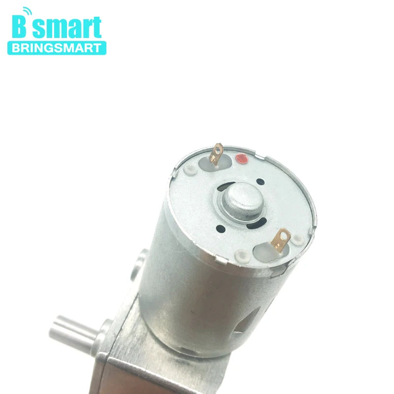 Bringsmart JGY-370 Worm Gear Motor 6v High Torque 12V DC Motor Low Speed 12 Volt Reducer Micro Self-lock Electric Motor