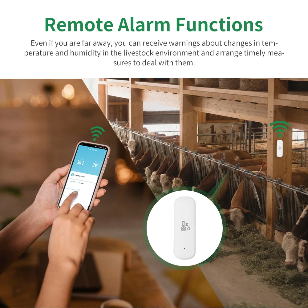 Smart Home 2.4G WIFI Temperature And Humidity Sensor Tuya APP Remote Control SmartLife Work With Alexa Google Assistant