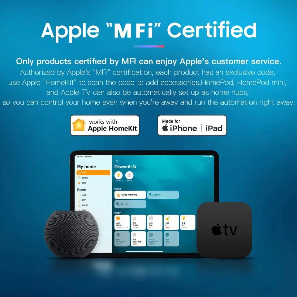 Smart WIFI Wireless16A Socket for Apple Homekit WiFi Smart Timing EU Plug Outlet Siri Alexa Google Home Voice Control