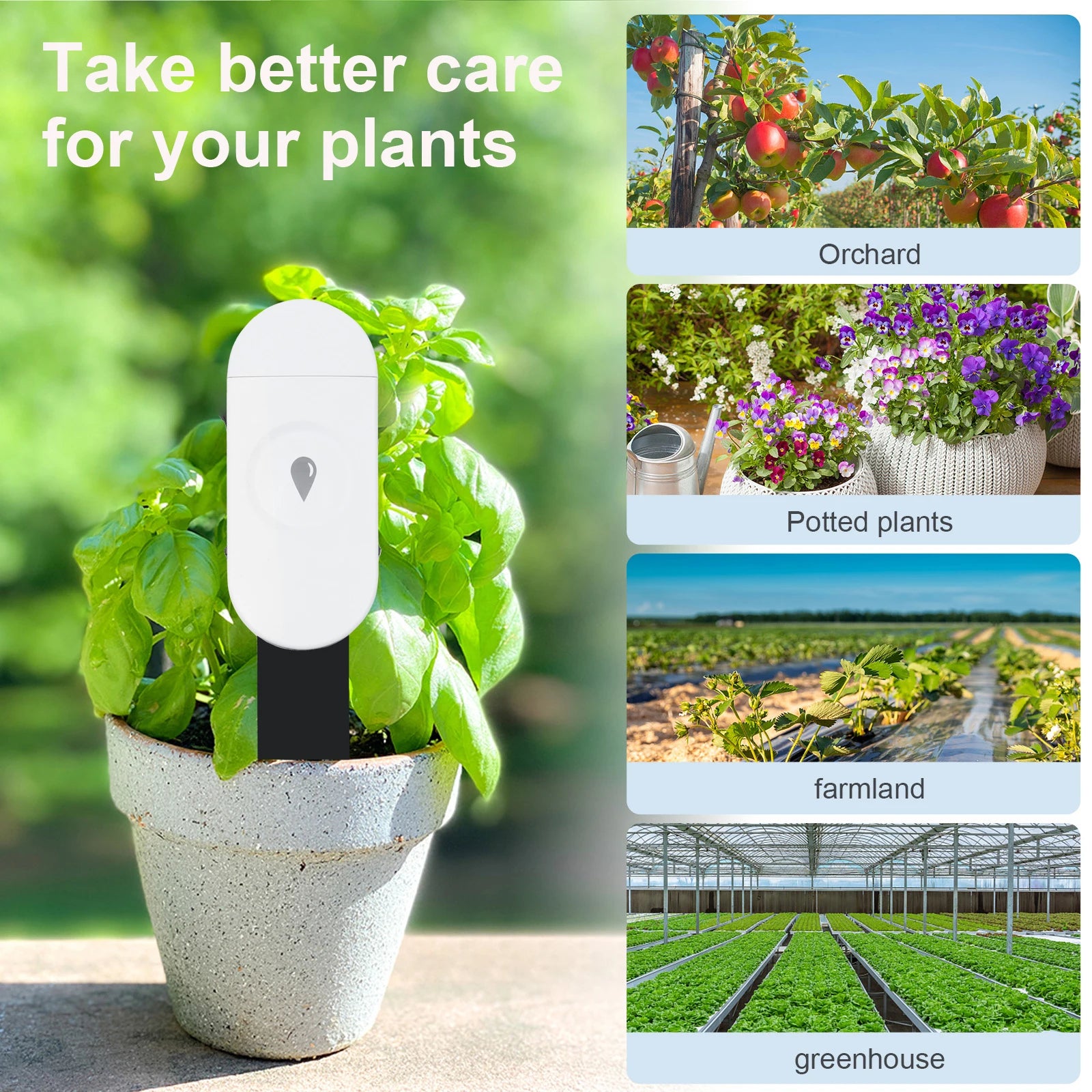 Tuya Zigbee Temperature Humidity Moisture Detector Smart Soil Tester Moisture Sensor Phone App RealTime Monitor for Home Garden