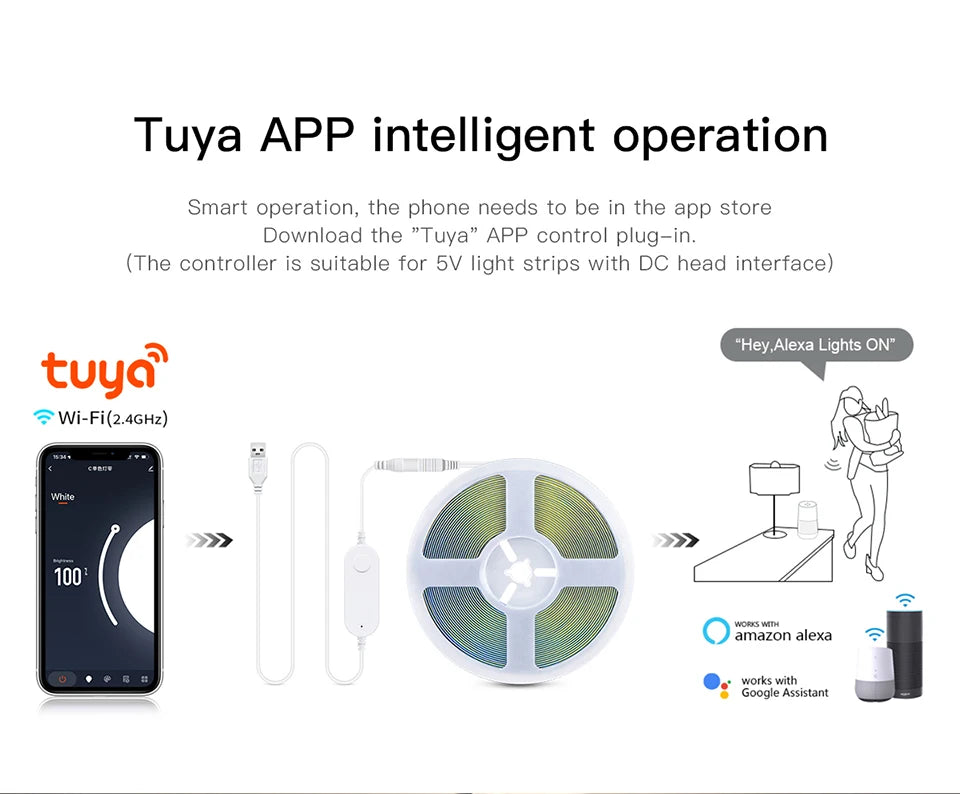 Tuya Smart Switch Wifi Switch Work For USB LED Light Strip Control DC 5V Smart Life Alexa Google Home