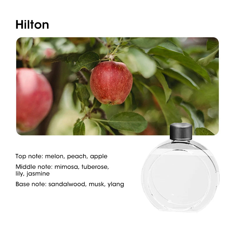 USB Desktop Aromatherapy Diffuser Humidifier Atomizer Household Hydrating Instrument for Bedroom and Office