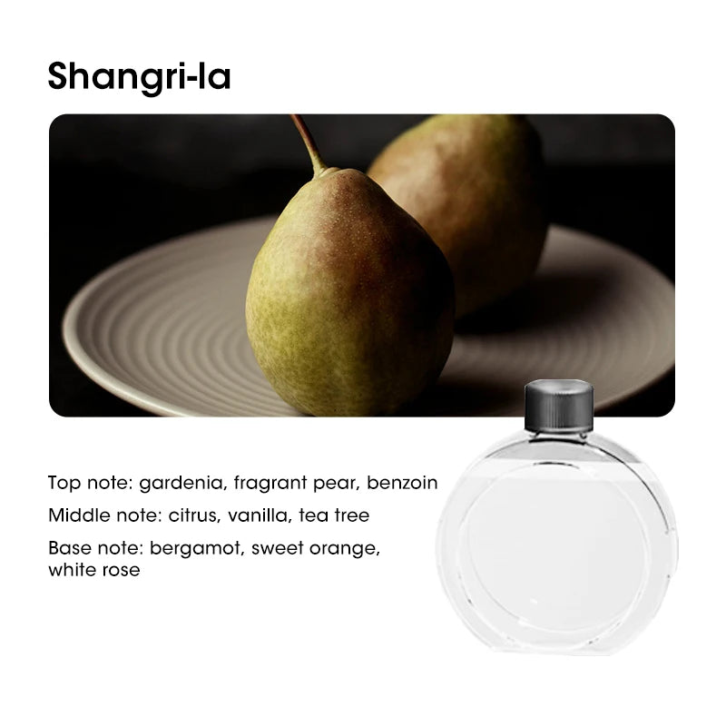 USB Desktop Aromatherapy Diffuser Humidifier Atomizer Household Hydrating Instrument for Bedroom and Office