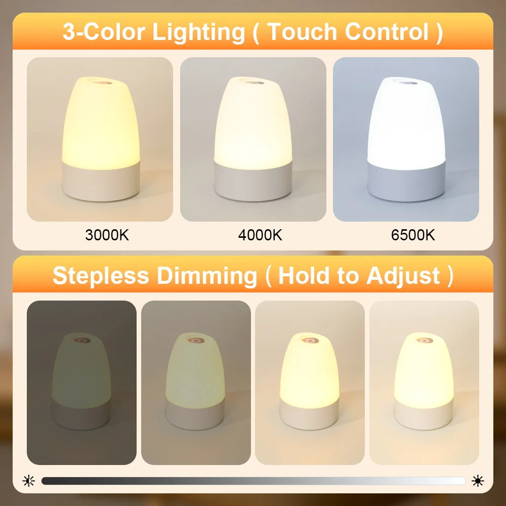 Touch Night Light Rechargeable Type-CDimmable Table Lamp for Living Room Bedroom Remote Control Decor 3 Colors Night Lamp 2W