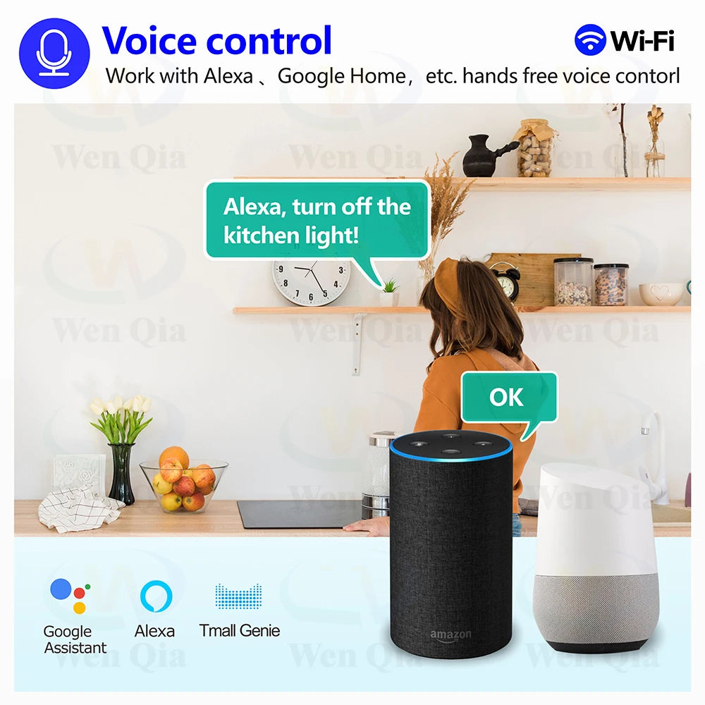 2CH Smart Light Switch Tuya,WiFi & RF Remote Control Module,USB 5V DC 12V 24V 48V,work with Alexa Google Home,for Lamp Fan Motor