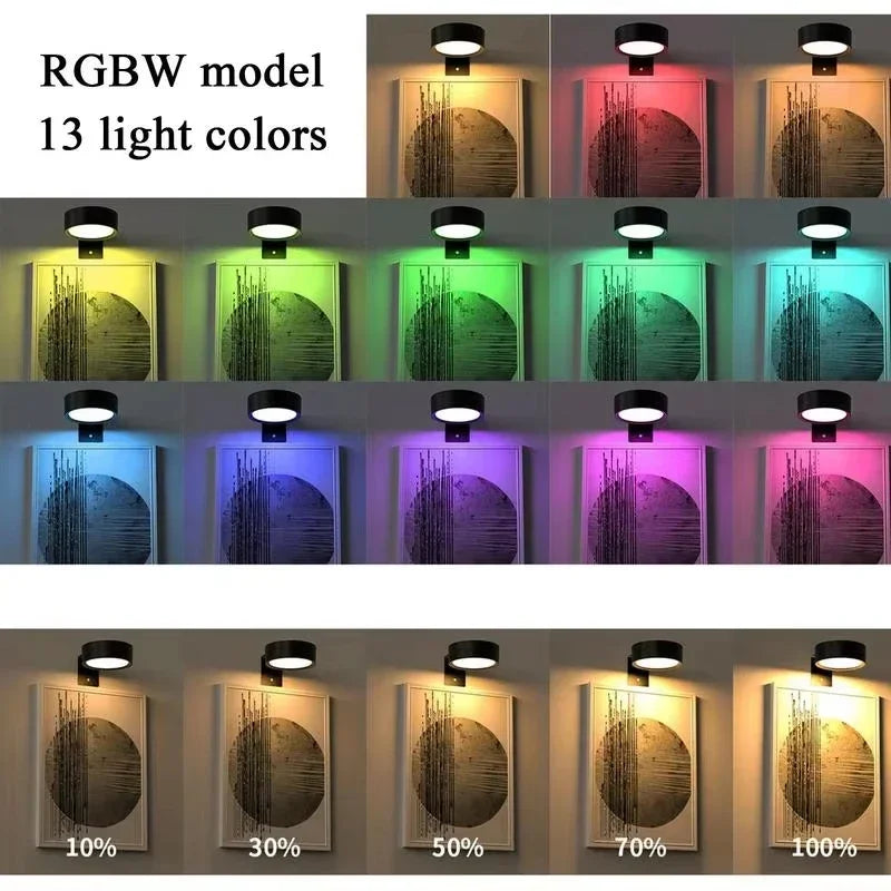 1/2PCS LED Wall Picture Light for Art Display Decor，Remote Control Painting Light with 13 Color Adjustable,AAA Battery Powered