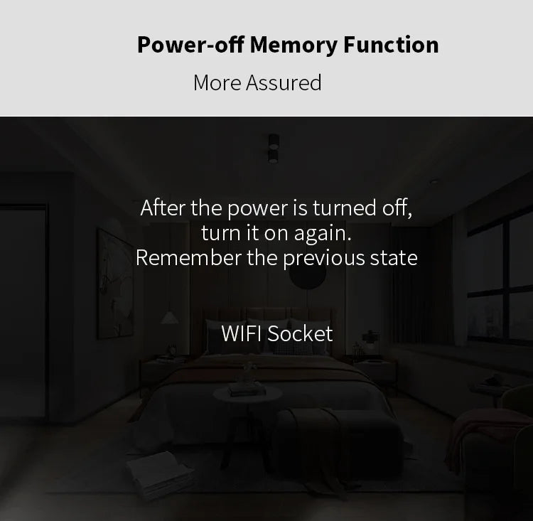 Works with Tuya Smart Life App Wifi Plug 20A Smart Socket EU Power Monitor Remote Control Outlet Works with Alexa Google Home