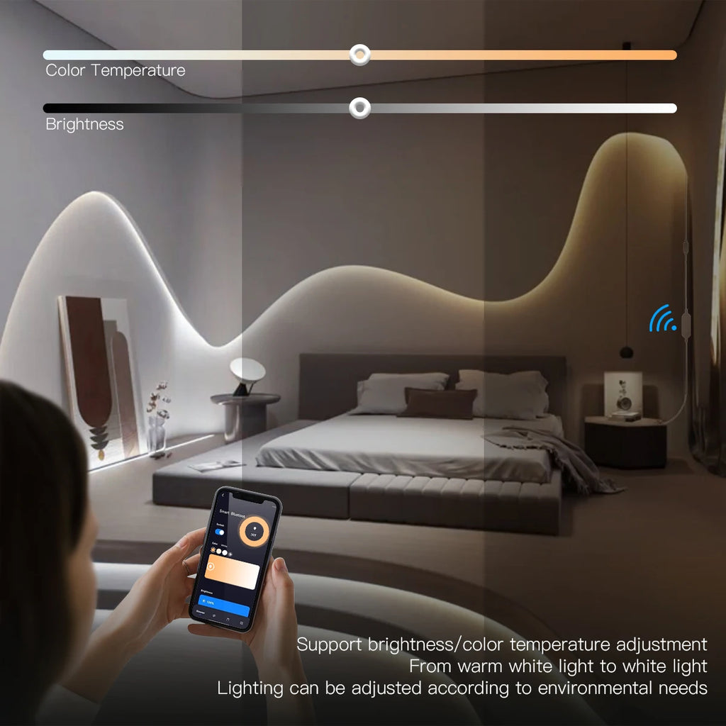 Zigbee Smart Switch for LED Light Strip DC12V 24V interruptor inteligente Alexa Google Voice Control Work with Tuya Smart Life