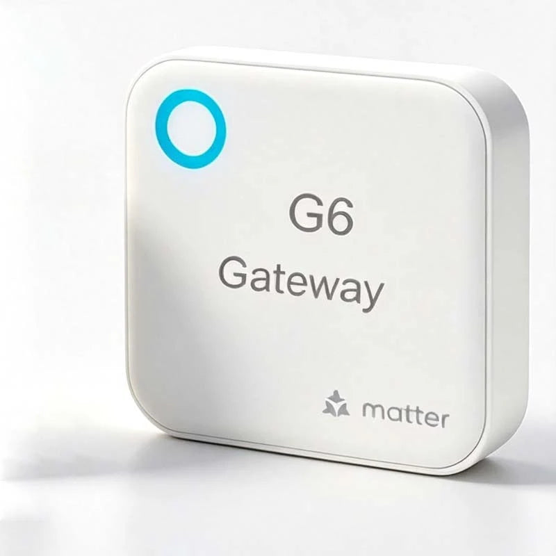 TTLock TThotel G2 G3 G3P G4 G5 G6 Gateway Hub WiFi RJ45 POE 4G TLE Matter Smart Lock Remote Bridge for Home Hotel Management