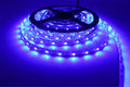 5M Battery Led Strip with PIR Motion Sensor Induction Night Light Tape Under Cabinet Light for Room Wardrobe Indoor Lighting