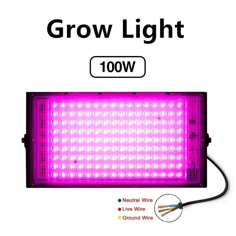 50W 100W Led Flood Light IP65 Waterproof AC 220V Full Spectrum Floodlight Spotlight LED Reflector Street Lamp Wall Flood Lights