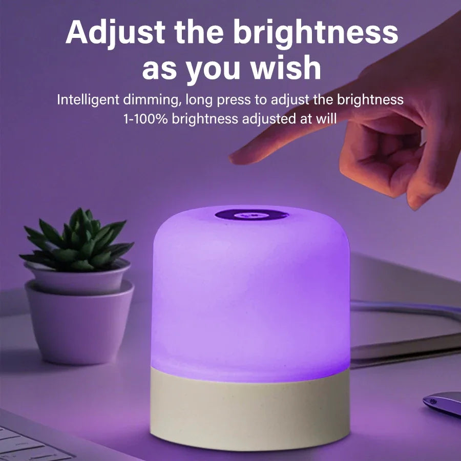 Touch Bedside Lamp Rechargeable RGB Night Light Remote Control Long Life Battery Bedroom LED Warm Desktop Decorative Lights