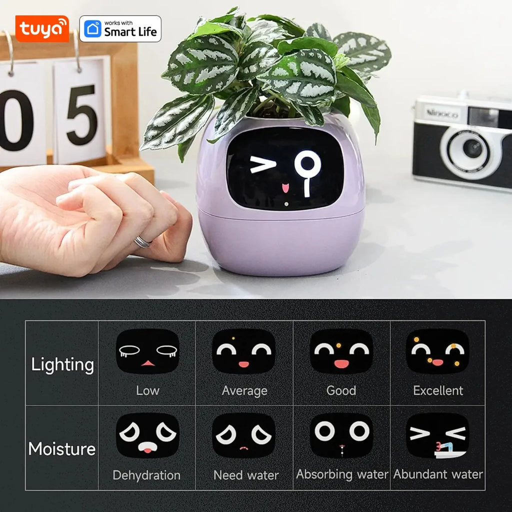 Gen1 Tuya Ivy Smart Planter,Endless Fun Over 49 Rich Expressions,7 smart sensors,AI Chips Make Raising Plants Easy and Fun
