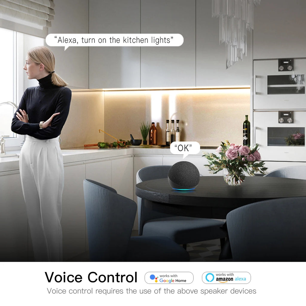Zigbee Smart Switch for LED Light Strip DC12V 24V interruptor inteligente Alexa Google Voice Control Work with Tuya Smart Life