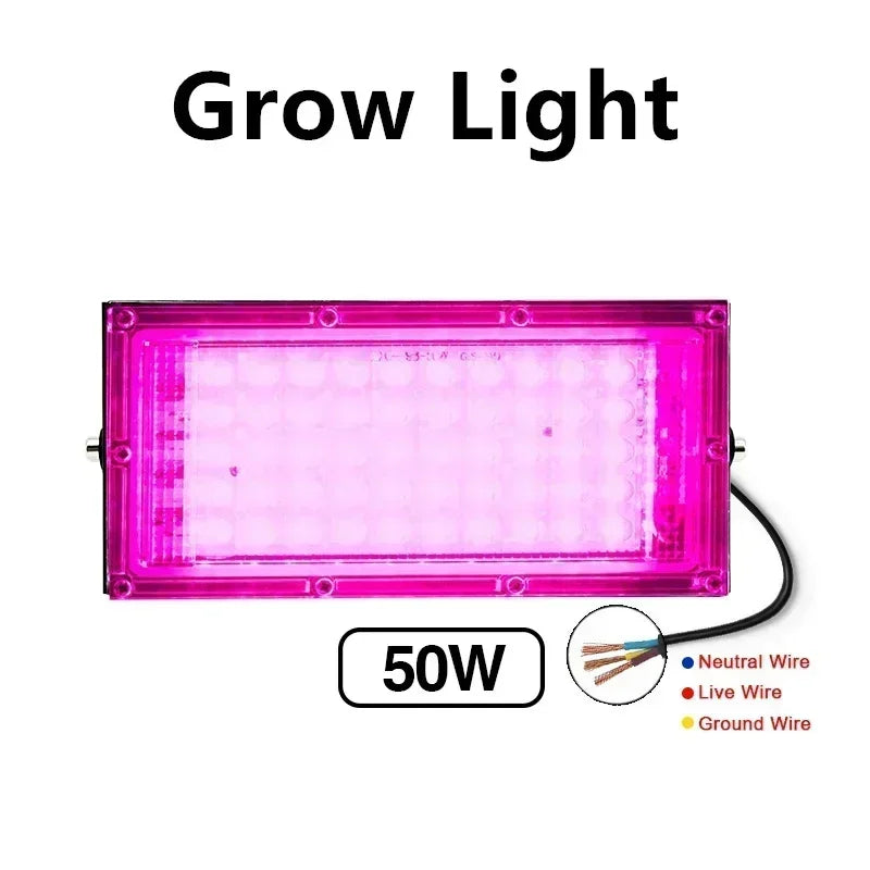 50W 100W Led Flood Light IP65 Waterproof AC 220V Full Spectrum Floodlight Spotlight LED Reflector Street Lamp Wall Flood Lights