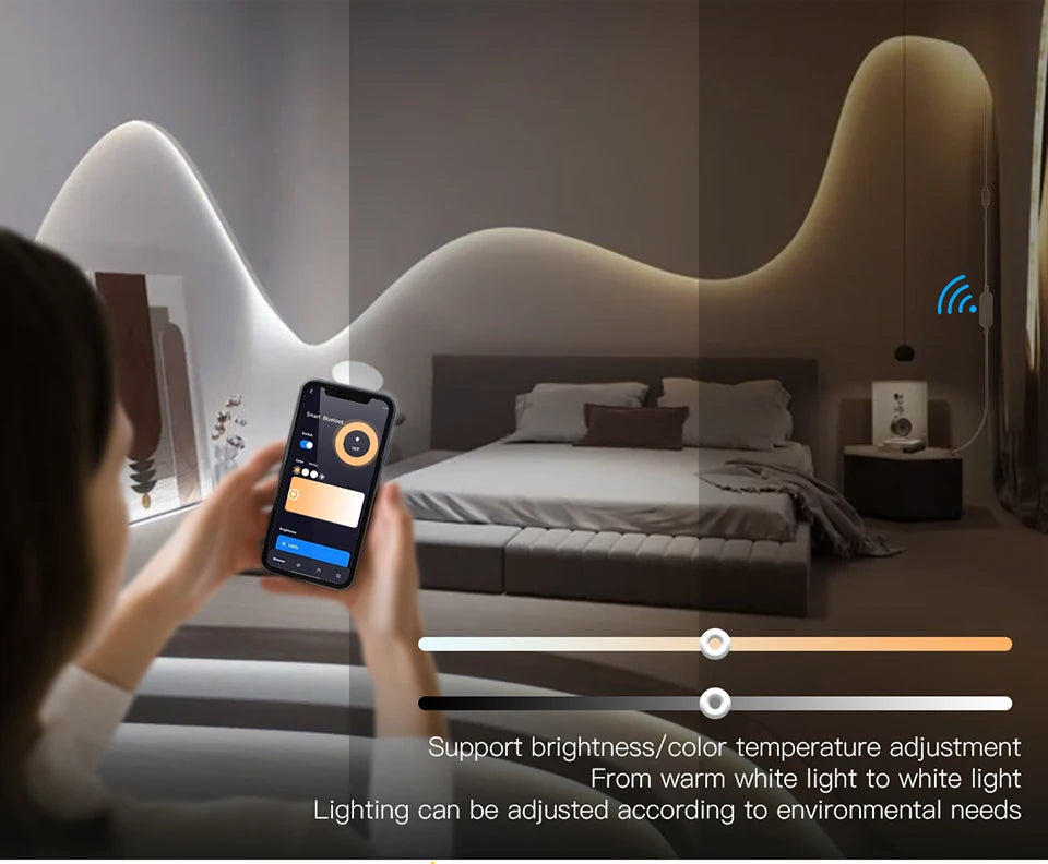 Zigbee Smart Switch for LED Light Strip DC12V 24V interruptor inteligente Alexa Google Voice Control Work with Tuya Smart Life