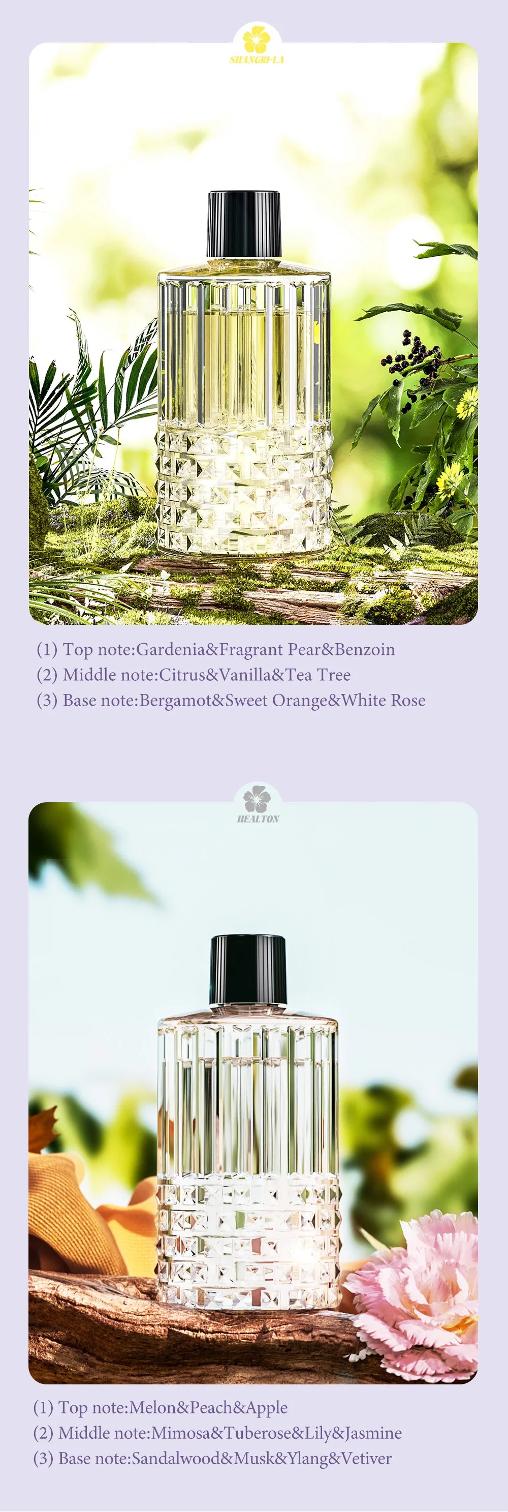Multi-functional rechargeable portable aroma diffuser essential oil diffuser timer air freshener car home living room bathroom