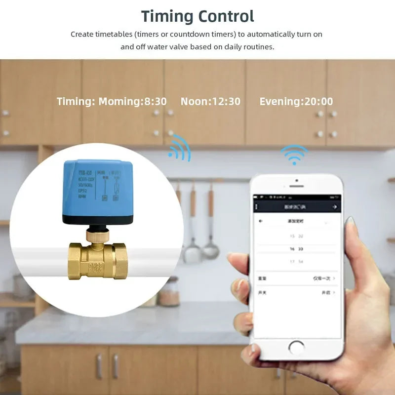 AC220V Tuya WiFi Smart Motorized Ball Valve Normally Closed Timing Water Switch Electric Valve with Smart Life Alexa Google Home