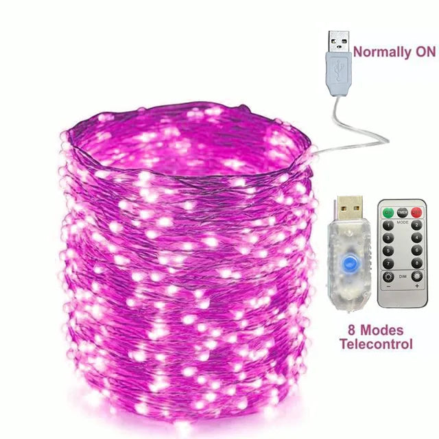 5M-30M USB String Lights 8 Modes Fairy Lights Copper Wire LED String Lights for Christmas Wedding New Year Garland Decoration