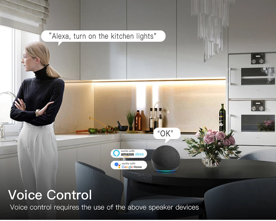 Zigbee Smart Switch for LED Light Strip DC12V 24V interruptor inteligente Alexa Google Voice Control Work with Tuya Smart Life