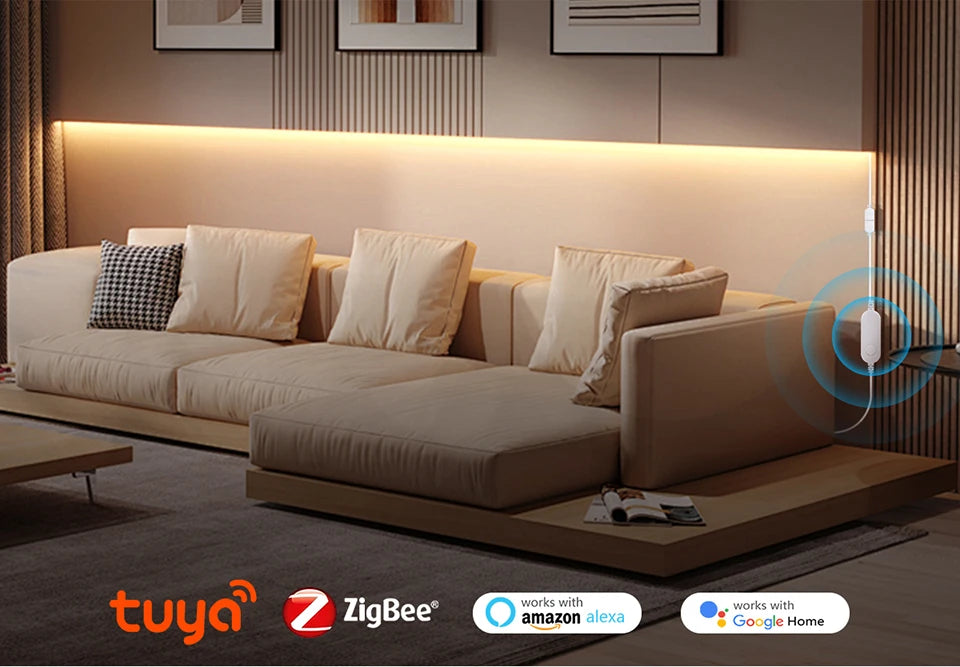 Zigbee Smart Switch for LED Light Strip DC12V 24V interruptor inteligente Alexa Google Voice Control Work with Tuya Smart Life