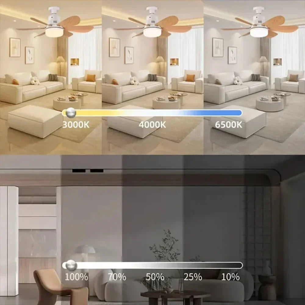 Ceiling Fan Light 52cm Thin Silent Ceiling Fan with Remote Control Unlimited Dimming 3-speed Adjustment Bedroom Living Room