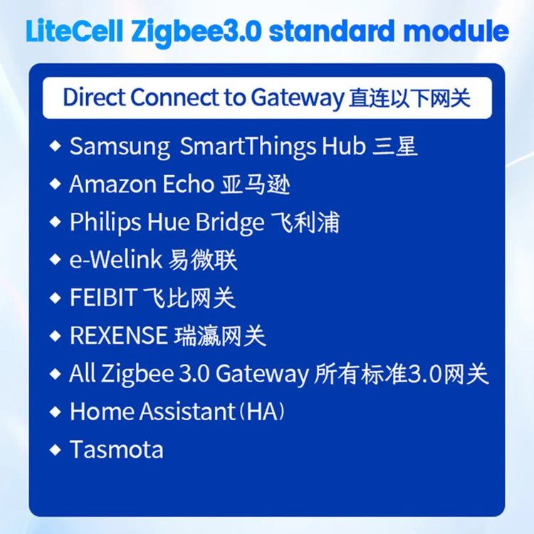 Italian Chilean Plug EU Compatible Zigbee Smart Socket BSD60 16A20A Power Monitor App Remote Control for Alexa Google Assistant