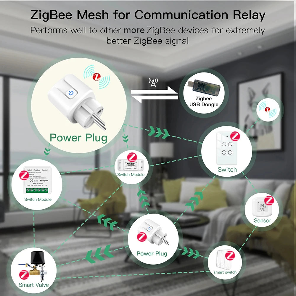 Home Assistant ZigBee Smart Plug 20A/16A EU Smart Socket with Power Monitor App Voice Control Works with Alexa Google Home Z2M