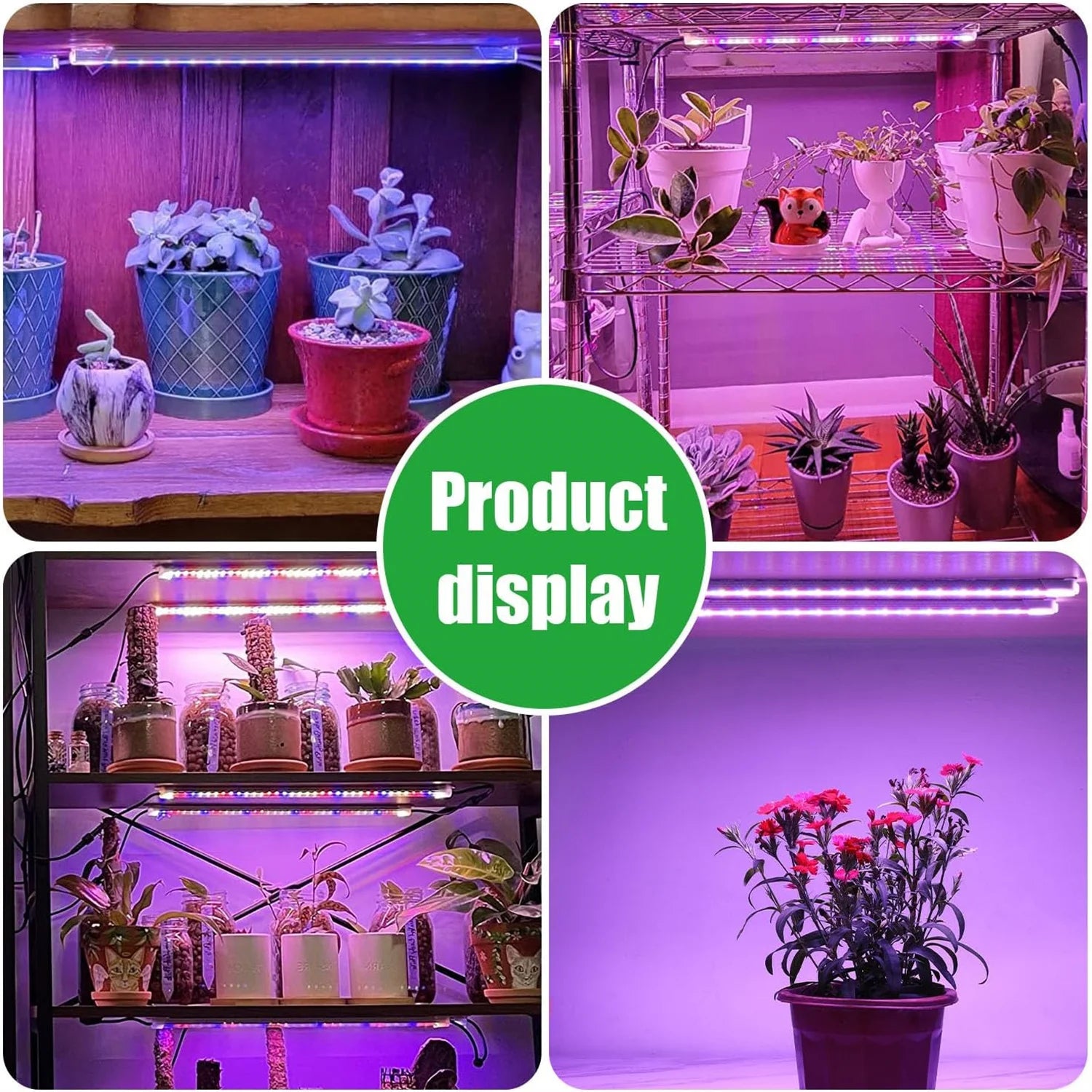 3 Colors Indoor Led Grow Light USB DC5V Timer Phyto Lamp For Plants Dimmable LED Lamp Phytolamps Full Spectrum Hydroponics