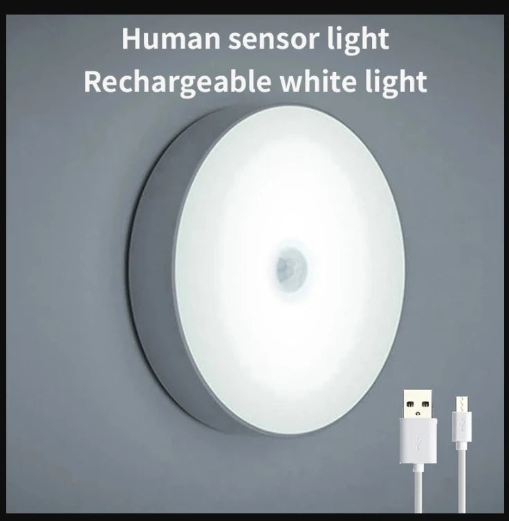 1/2PCS LED Wall Picture Light for Art Display Decor，Remote Control Painting Light with 13 Color Adjustable,AAA Battery Powered
